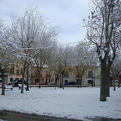 NIEVE - 14 - 12 - 09 027